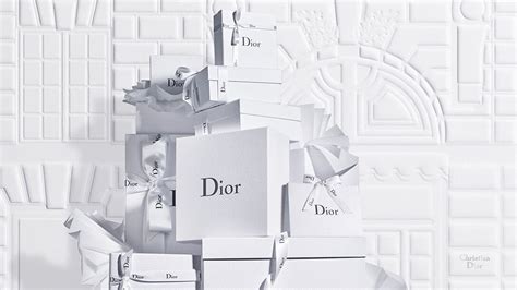 christian dior spain|official dior website.